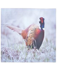 Fallen Fruits RB179 Printed Doormat - Pheasant